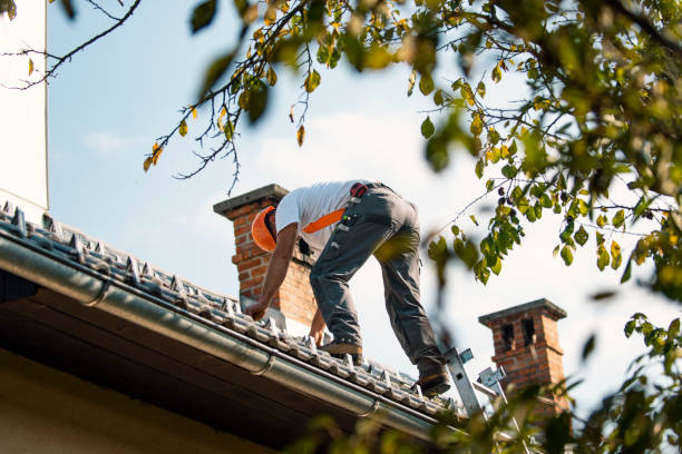 Best Chimney Flashing Repair  in West Pittston, PA